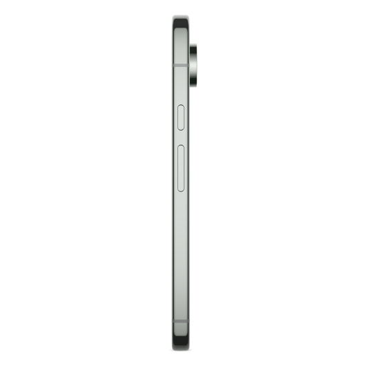 Google Pixel 9 Pro 16/256Gb Зеленый (JP)